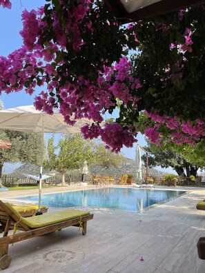 Exterior - Mesudiye Apart (Datça)