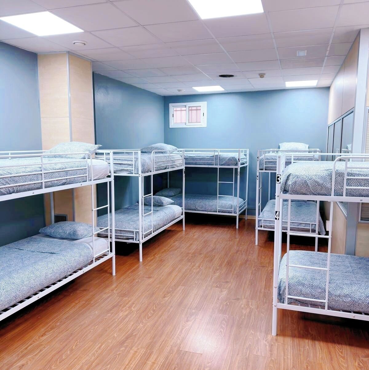 A dormitory room with bunk beds, wooden flooring, and a blue wall.