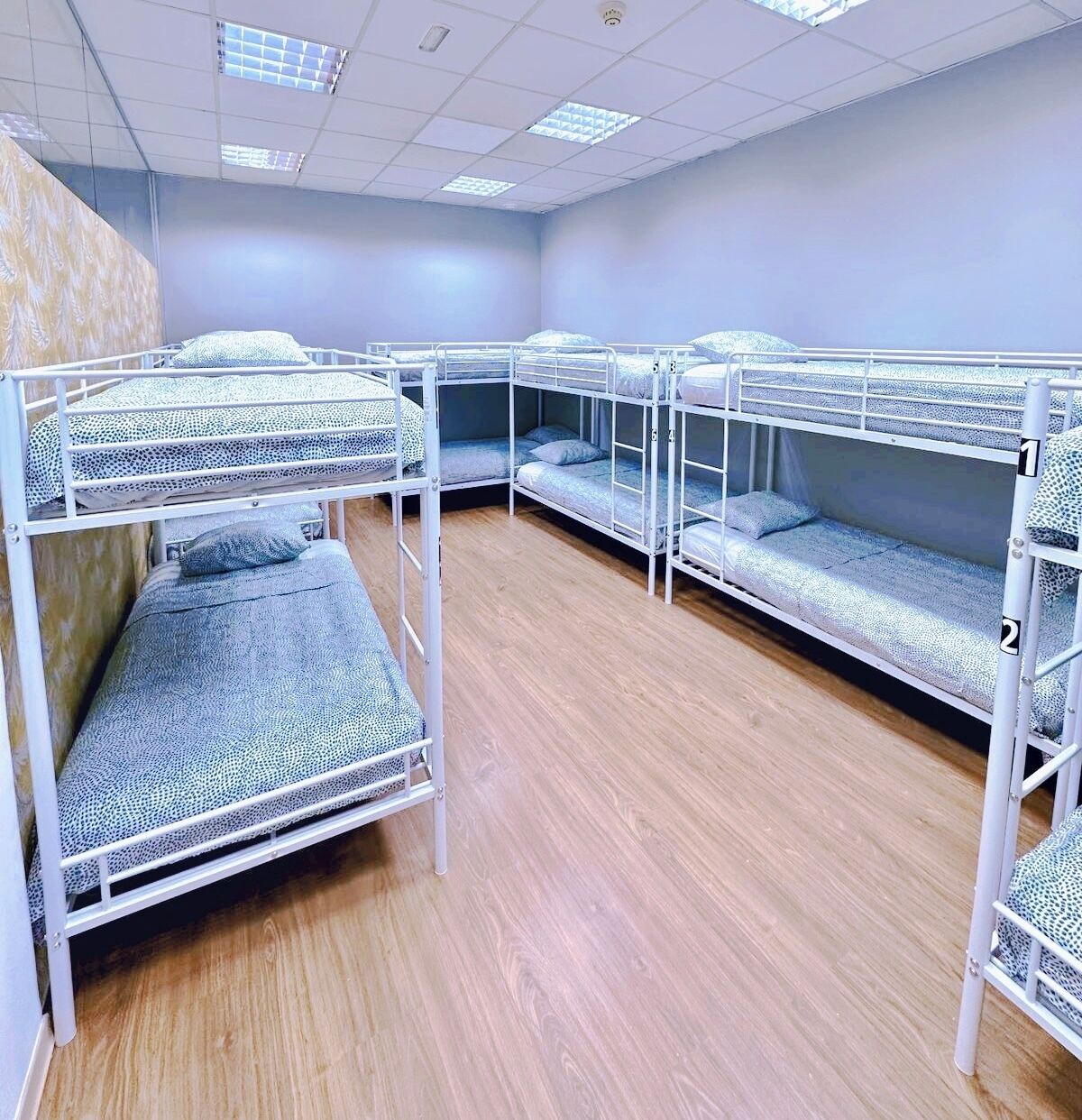 Hypo-allergenic bedding, desk, laptop workspace, soundproofing