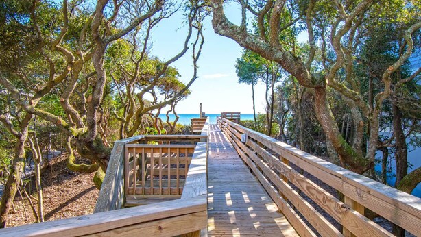 A wooden boardwalk leading to a beach, surrounded by trees. - Seacluded Tree House, Oceanfront House in Pine Knoll Shores, NC! (Pine Knoll Shores)