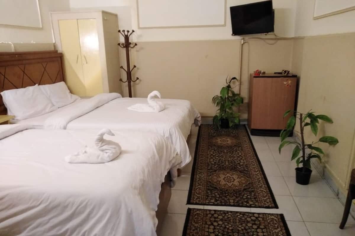 A hotel room with two beds, a TV on the wall, a coat rack, a wardrobe, and a potted plant.