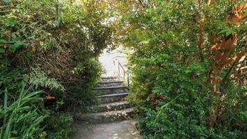Cottage | Property grounds