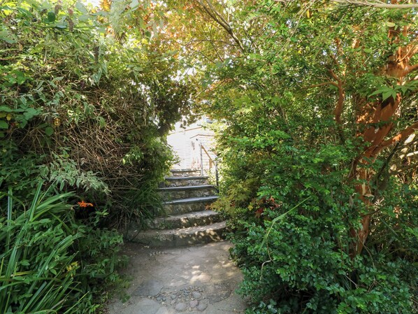 A stone staircase surrounded by dense greenery, leading to a building. - The Nest Brython (Tenby)