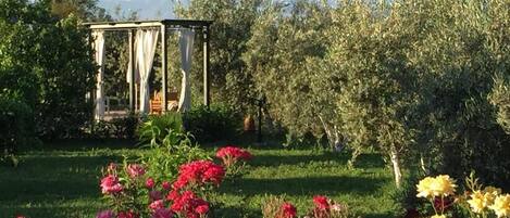 Overnattingsstedets uteområder