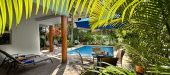 Beautiful 1 bd, Tree Top breeze and vistas, in town, only 5 min to the beach