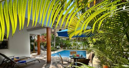 Beautiful 1 bd, Tree Top breeze and vistas, in town, only 5 min to the beach