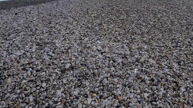 A pebbled beach with a lighthouse and cliffs in the background. - Appartement Belle vue Centre Ville Fécamp 1 km de la Plage (Fécamp)