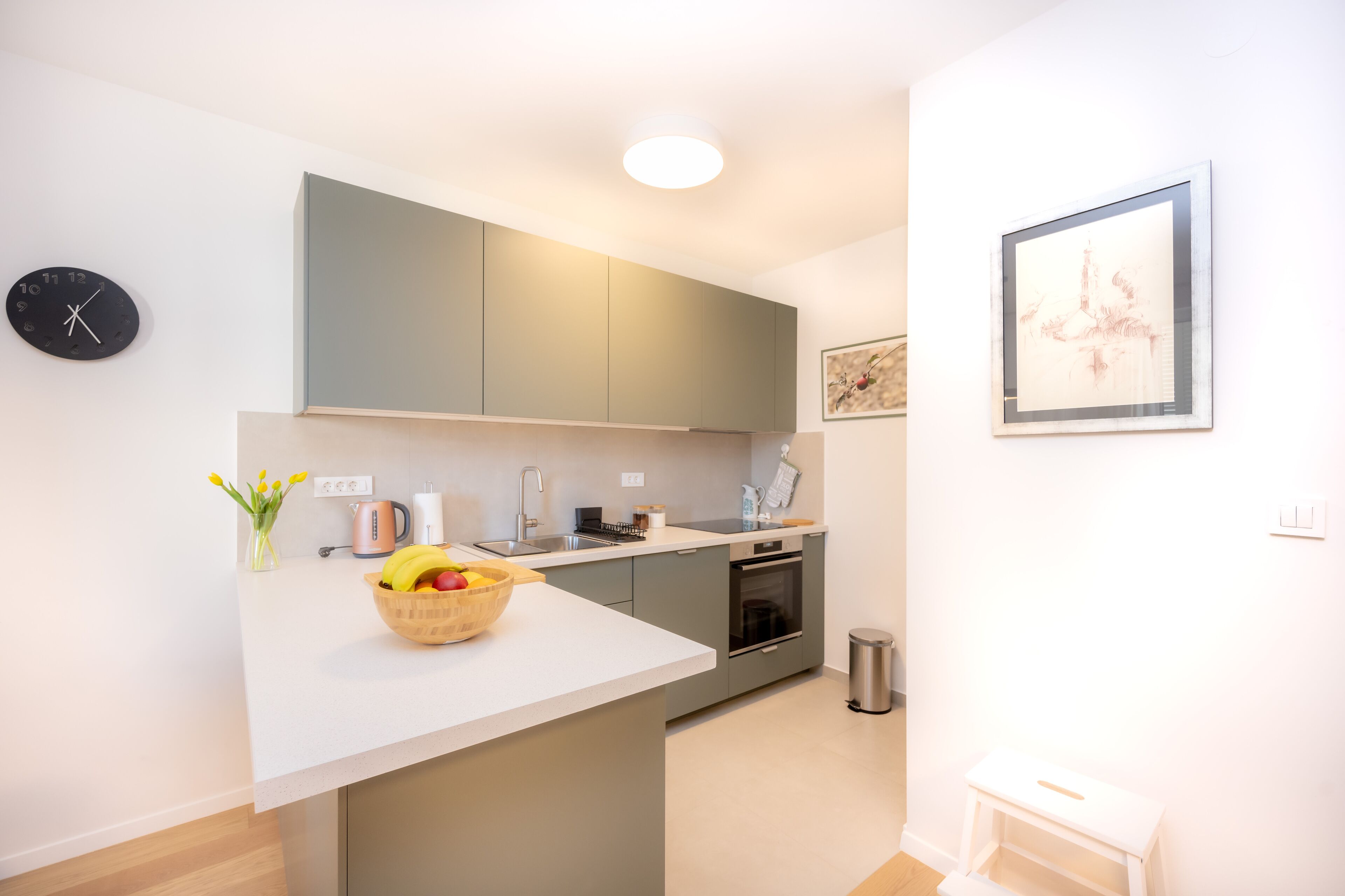 Family Apartment | Private kitchen | Full-size fridge, microwave, oven, stovetop