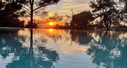 Entre vignes et pinèdes grande villa avec piscine et jacuzzi à 10 mins de la mer