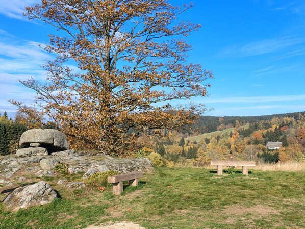 Paesaggio naturale con un albero grande, una formazione rocciosa e una panchina.
