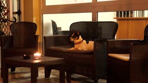A dog resting on a chair in a room with wicker furniture and a lit candle on a table. - Hotel Alfa (Rimini)