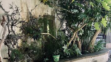 Details aan de buitenkant