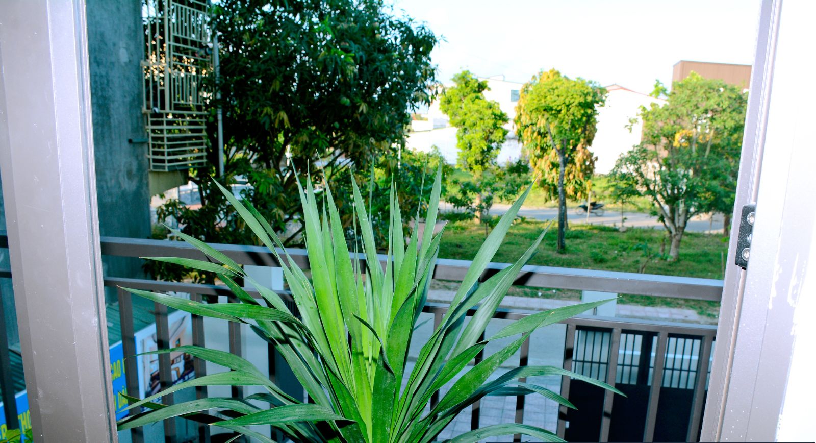 A potted plant in a hotel room with a balcony view.
