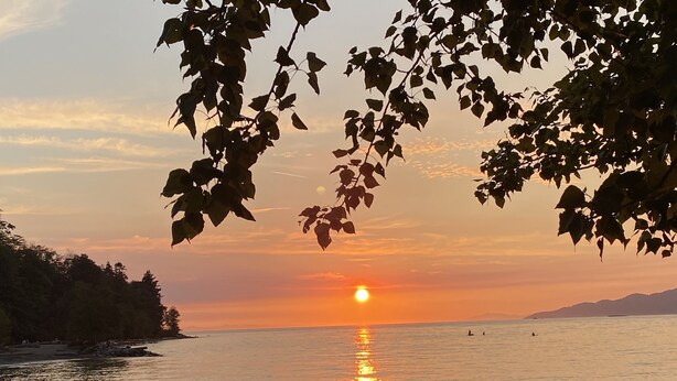 Auringonlasku tyynen meren yllä, rannalla ihmisiä ja koiria.
