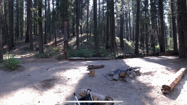 Property grounds - Private campsite with gold panning (Groveland)