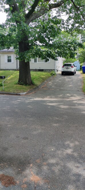 Property grounds - HOMEY  HOMEY (Springfield)