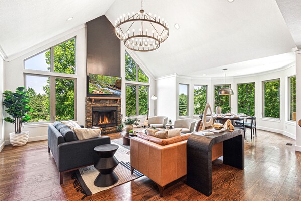 Smart TV, fireplace, books, stereo