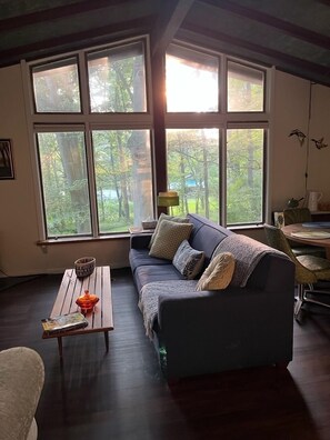 Smart TV, books, music library, stereo - Mid Century Guest House on Wooded Lot (Kirtland)