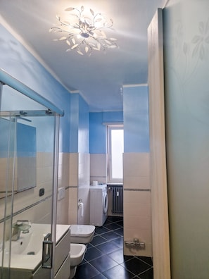 Shower, hair dryer, bidet, towels