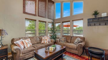 TV, fireplace, DVD player