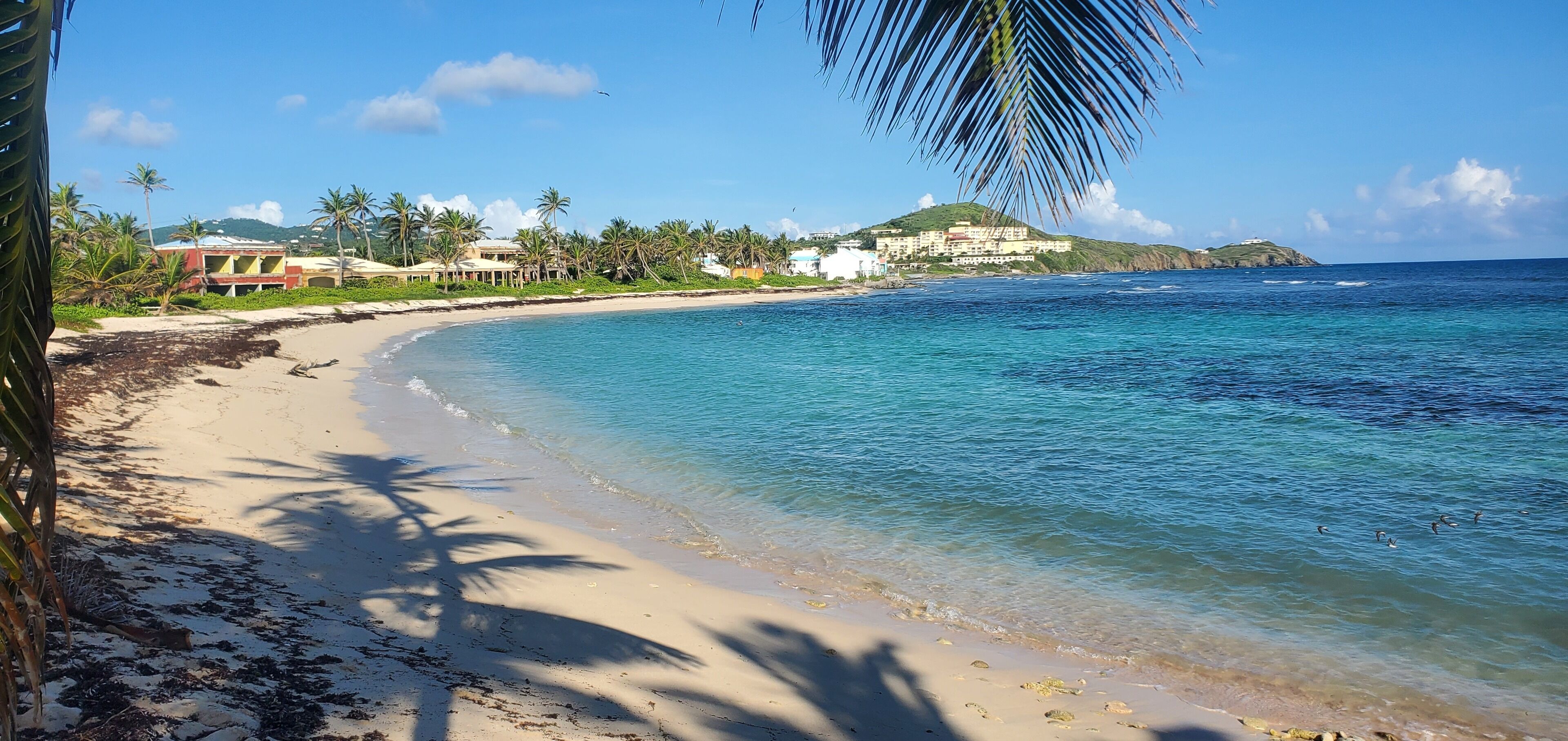 Tumbonas y toallas de playa