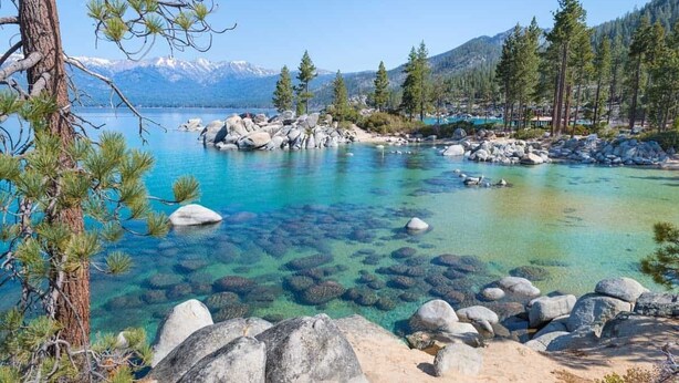 Strand