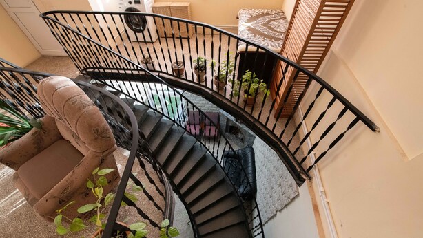 Una escalera de caracol con barandilla de metal negro, un sofá color beige y varias plantas en macetas.