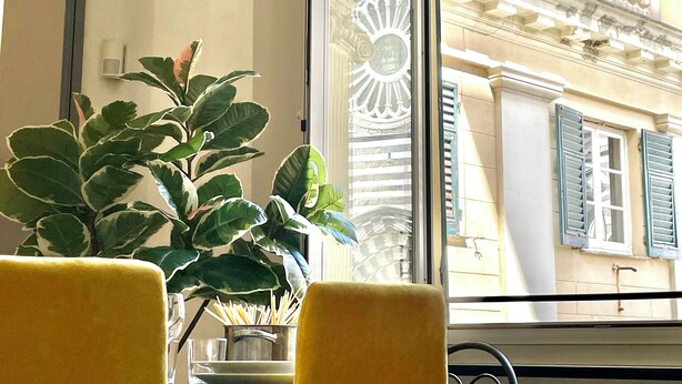 A room with a large window, a potted plant, and a view of a building with green shutters and a decorative sunburst window. - Happy Family Apartments Cathedral (Genoa)