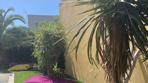 A section of a hotel with artificial grass, two pillows, and a palm tree. - Villa Sete les Pieds Dans Leau (Sète)