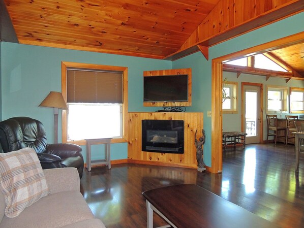 TV, fireplace, books