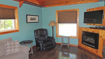 TV, fireplace, books