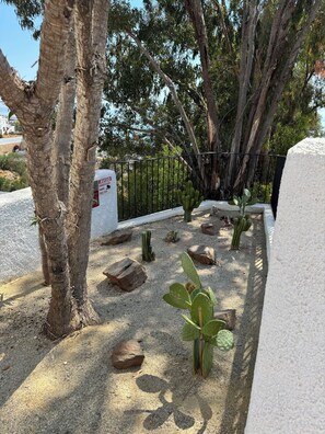 A garden with cacti, a white wall, and a black metal fence.