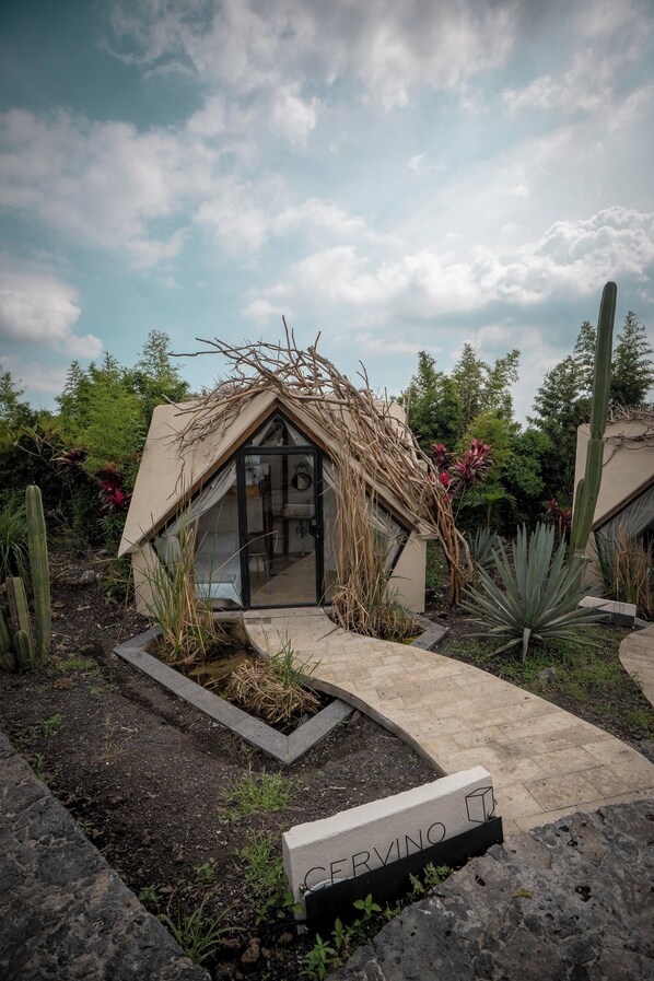 المنشأة من الخارج