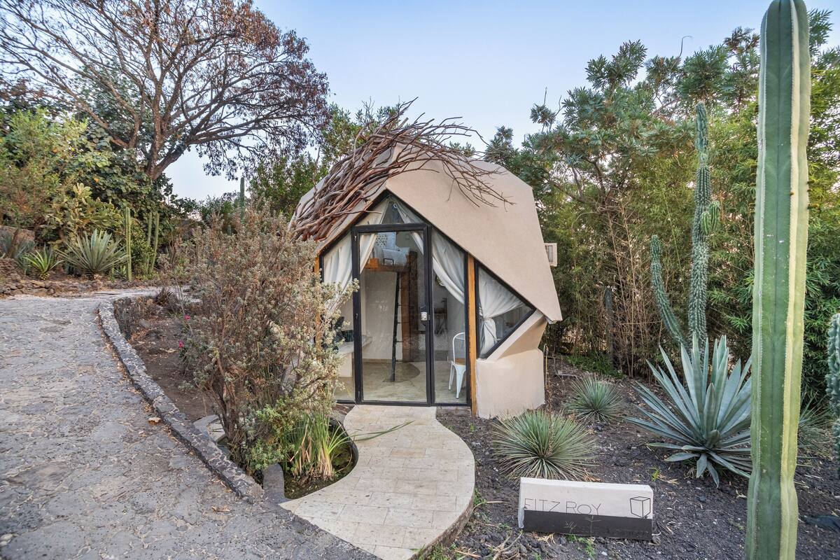 Una pequeña casa moderna con techo inclinado, rodeada de diversos cactus y plantas del desierto.