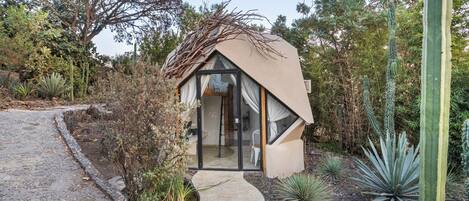 Una pequeña casa moderna con techo inclinado, rodeada de diversos cactus y plantas del desierto.