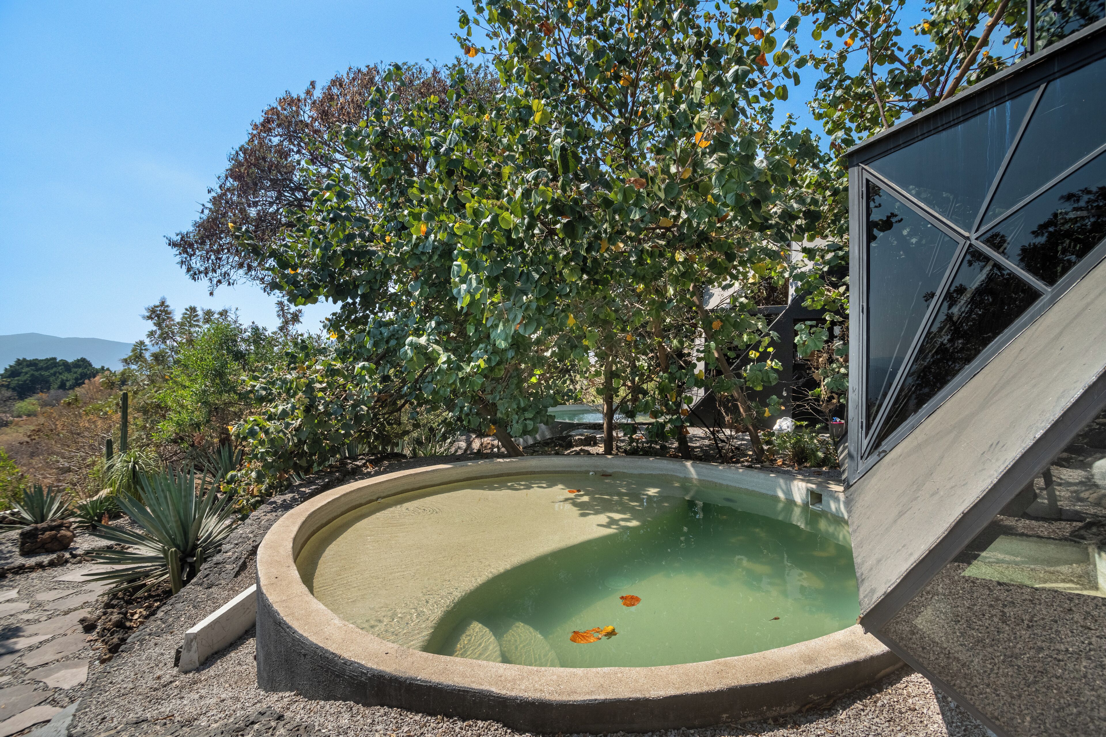Una piscina circular con un muelle de madera, rodeada de plantas y árboles diversos.