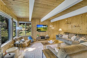 Télévision, cheminée, jeux vidéo, espaces bureaux