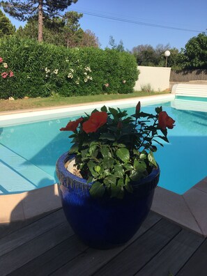 Piscine extérieure, piscine chauffée