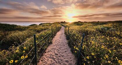 Charming Country-Style Home with Backyard Oasis!