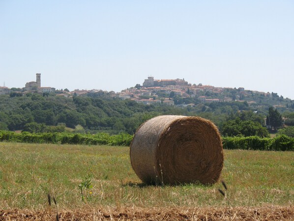 Paisaje rural con un fardo de heno al frente y un pueblo histórico en el fondo.
