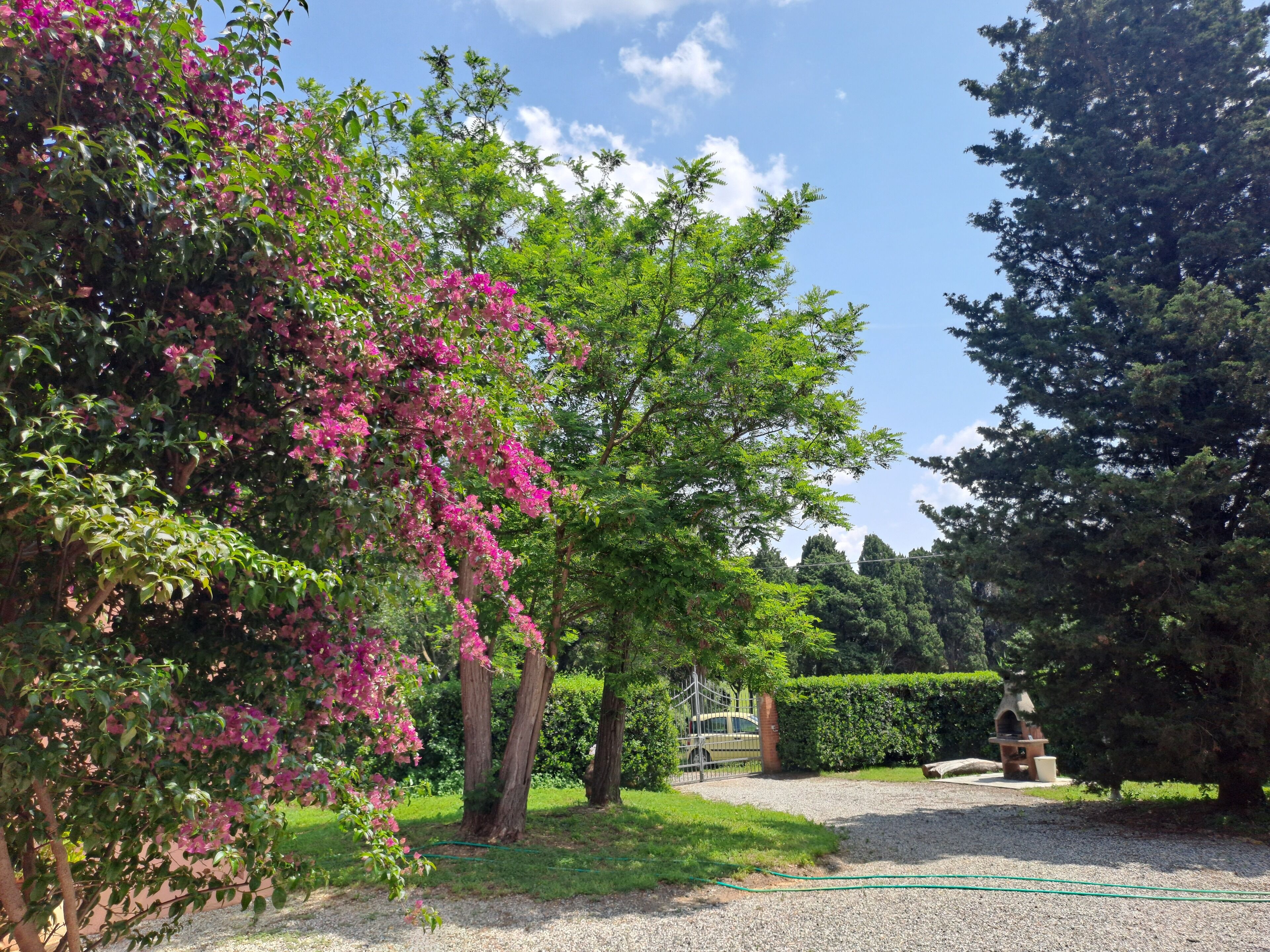 A garden with a gravel path, a wooden bench, and a brick structure.