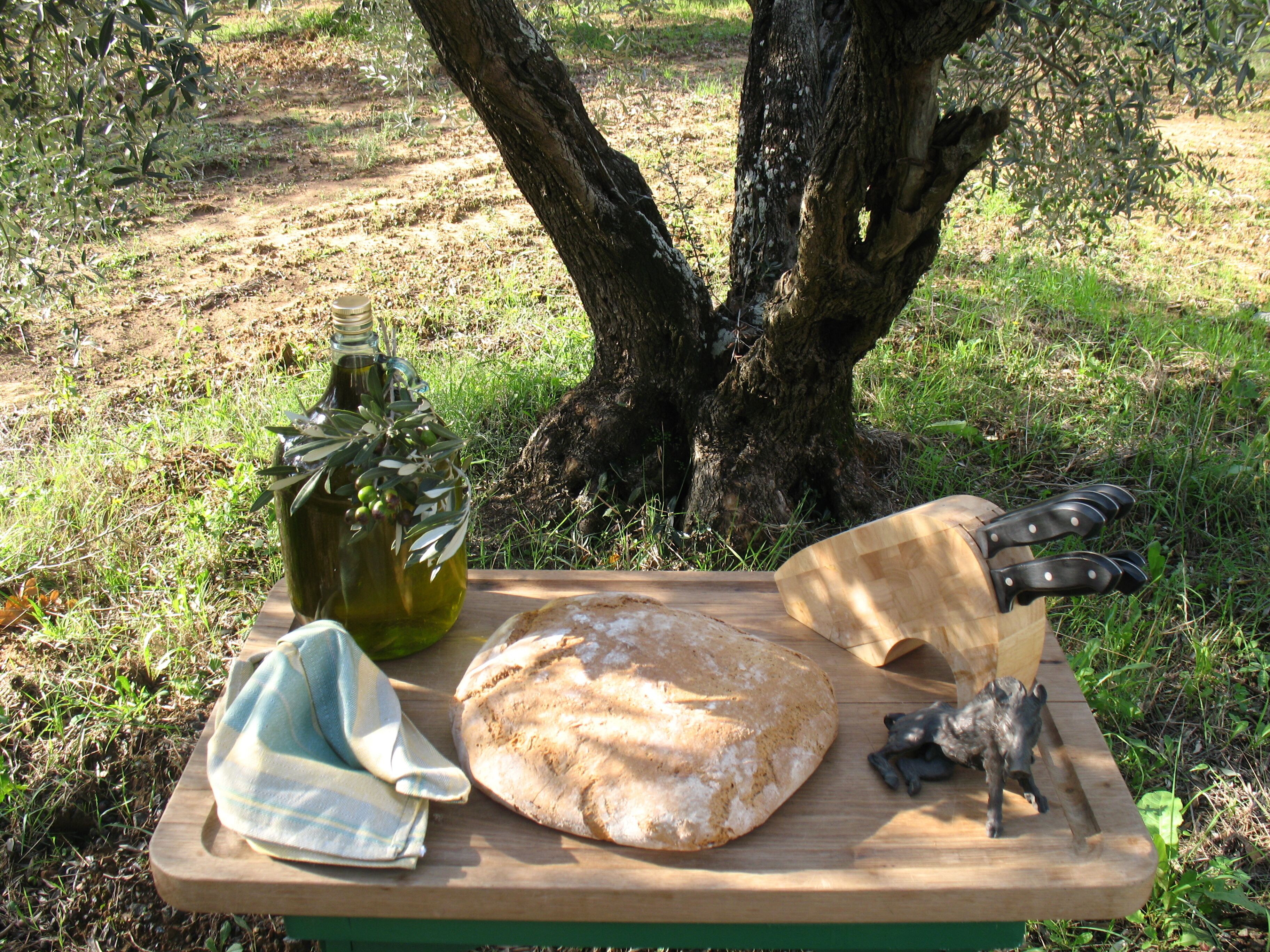 Un’apparecchiatura da picnic con una pagnotta, una bottiglia d'olio d'oliva, un panno e un coltello su un tagliere di legno.