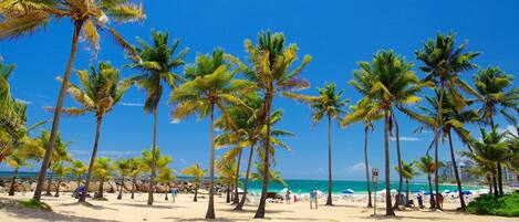 Sun-loungers, beach towels