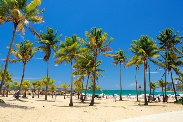 Chaises longues, serviettes de plage