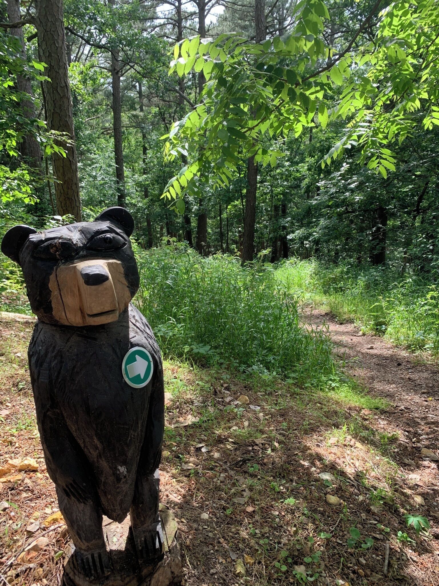 Une sculpture en bois représentant un ours, avec un panneau indicateur, dans une zone boisée.