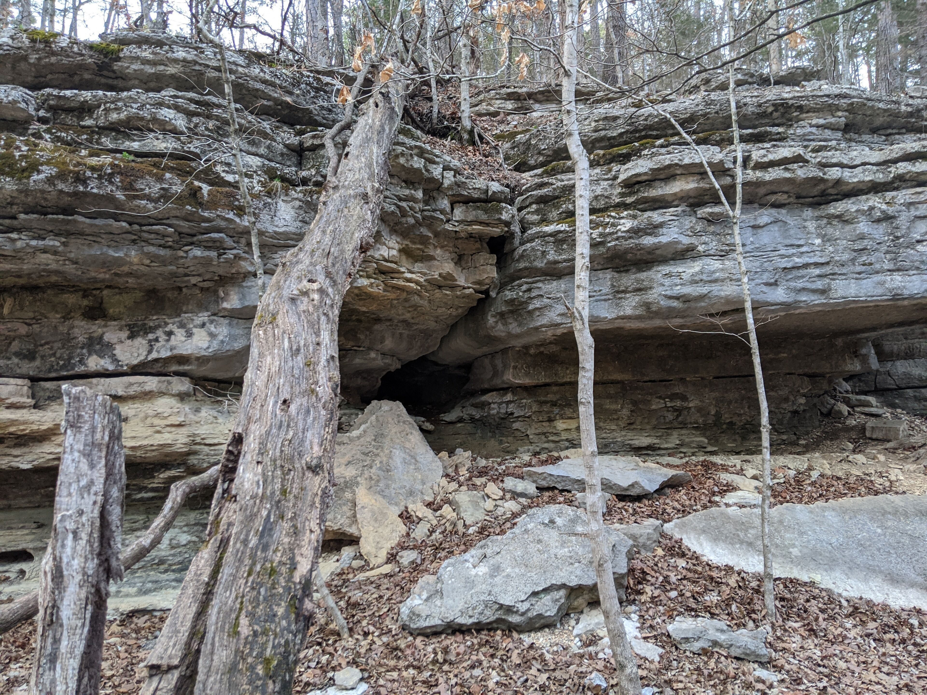 A rocky cave entrance surrounded by trees and scattered rocks.