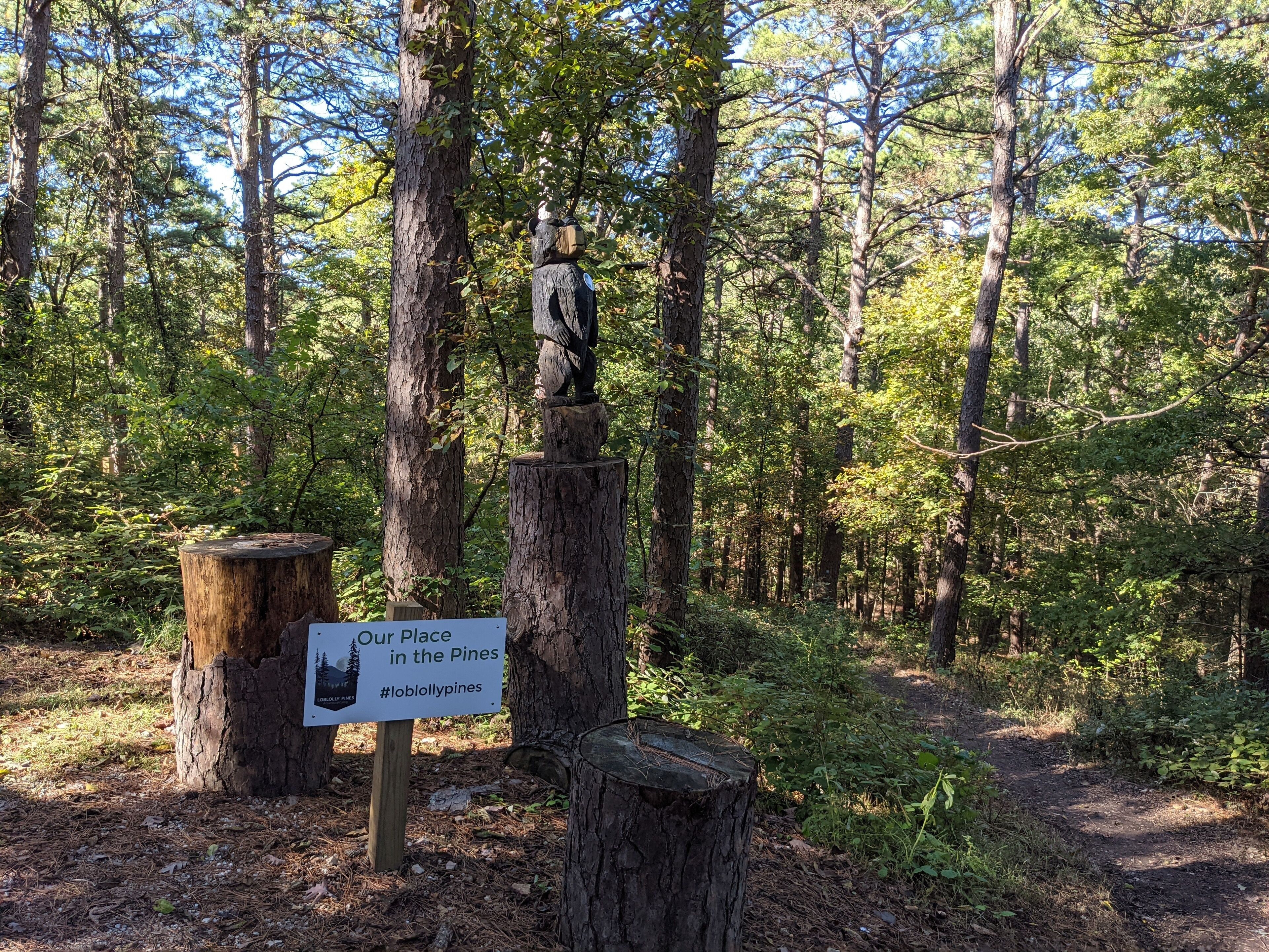 Un panneau dans une zone boisée, avec une sculpture en bois sur le tronc d’un arbre et un panneau indiquant : « Notre coin de paradis parmi les pins #lobiollypines ».