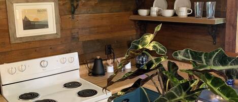 Una cocina con paredes de madera, una estufa blanca, repisas con vajilla y un cuadro enmarcado.