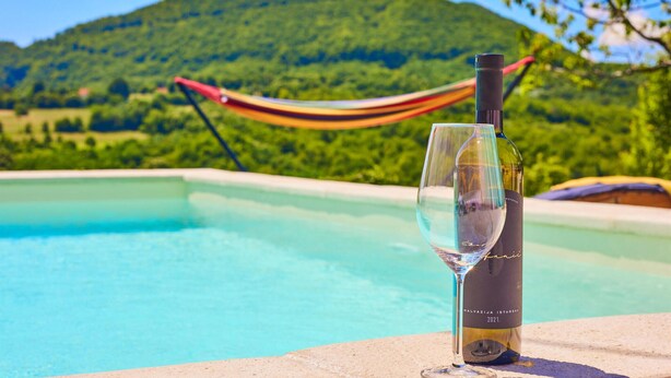 A bottle of Malvaziya Istarska wine and a glass on a poolside with a hammock and a mountainous landscape in the background. - Stunning home in Samobor (Samobor)