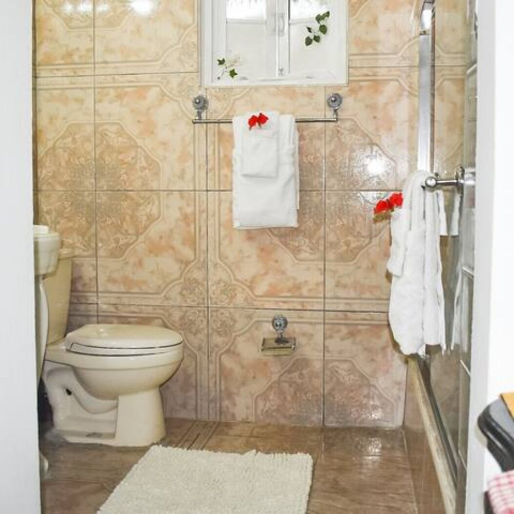 Hair dryer, towels, soap, shampoo
